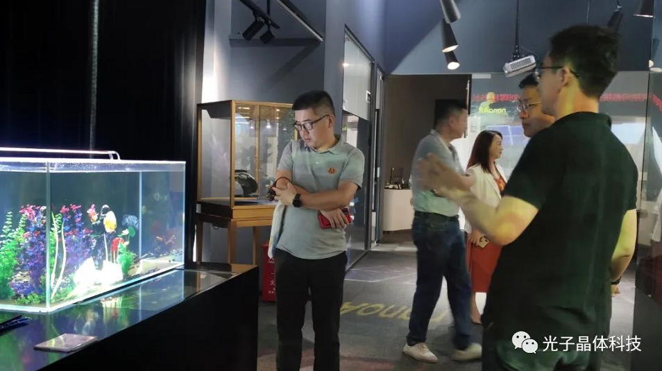 南开大学闫彪主任一行莅临我司参观交流