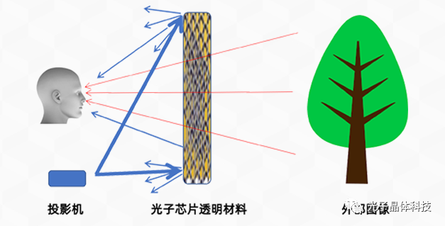 “光子晶体科技”起名记