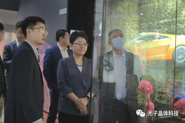 天津市南开区委书记马珊珊一行莅临光子晶体科技调研座谈