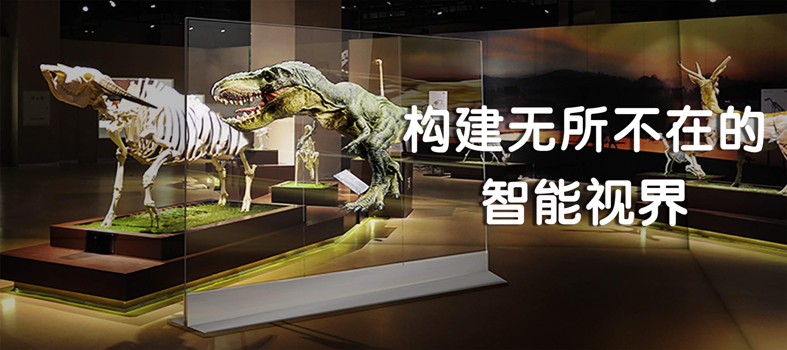 透明显示屏_博物馆