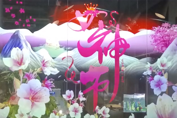 三八妇女节｜光子晶体科技祝女神们节日快乐！